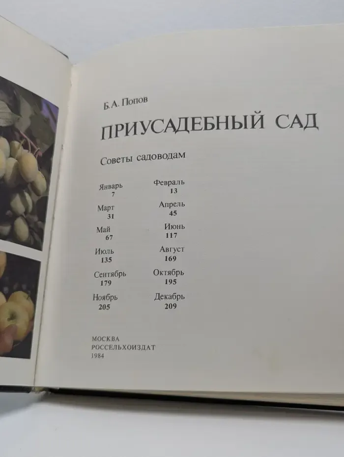 Приусадебный сад