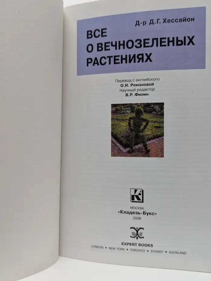 Все о вечнозеленых растениях