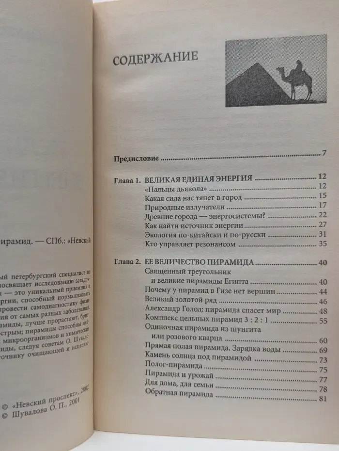 Истоки здоровья. Целительная энергия пирамид