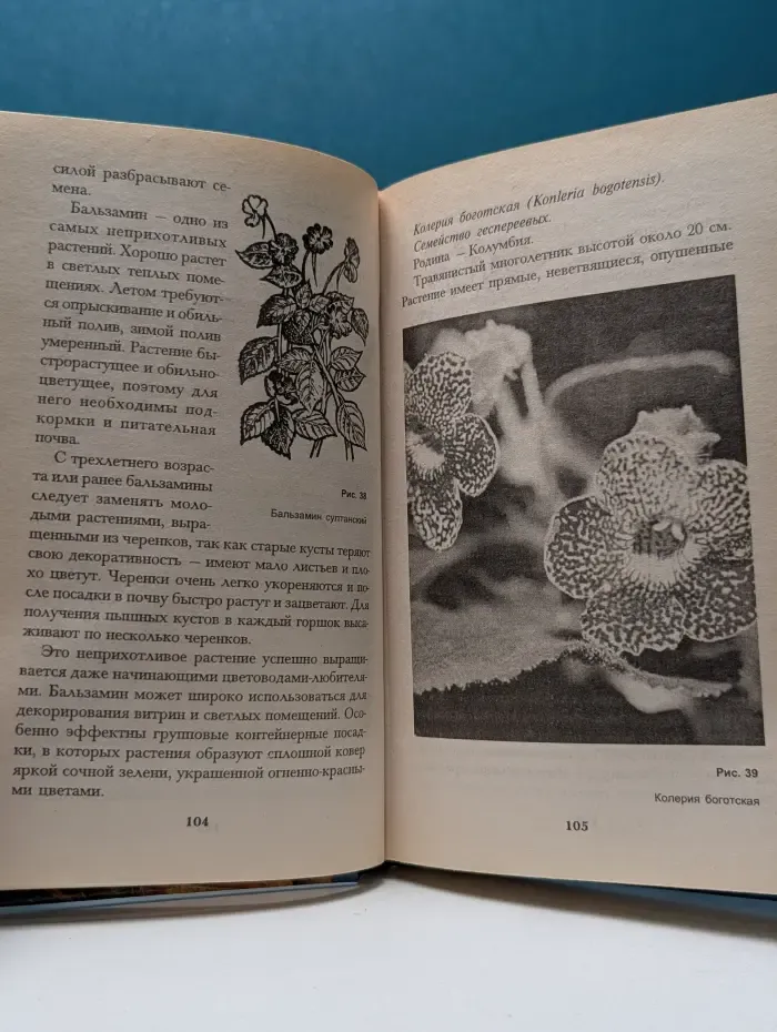 Домашняя библиотечка. Растения в интерьере