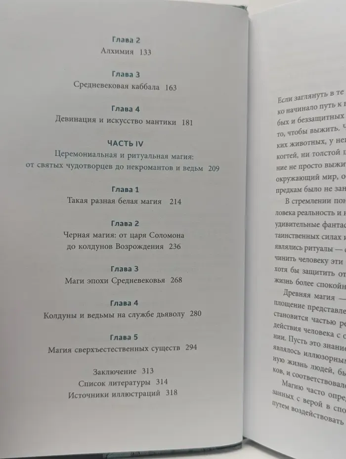 Мифы от и до. Настоящая история магии. От ритуалов каменного века и друидов до алхимии и Колеса года