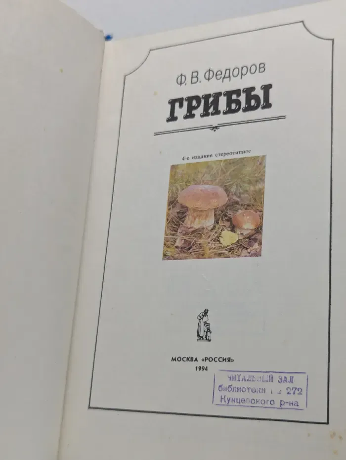 Грибы