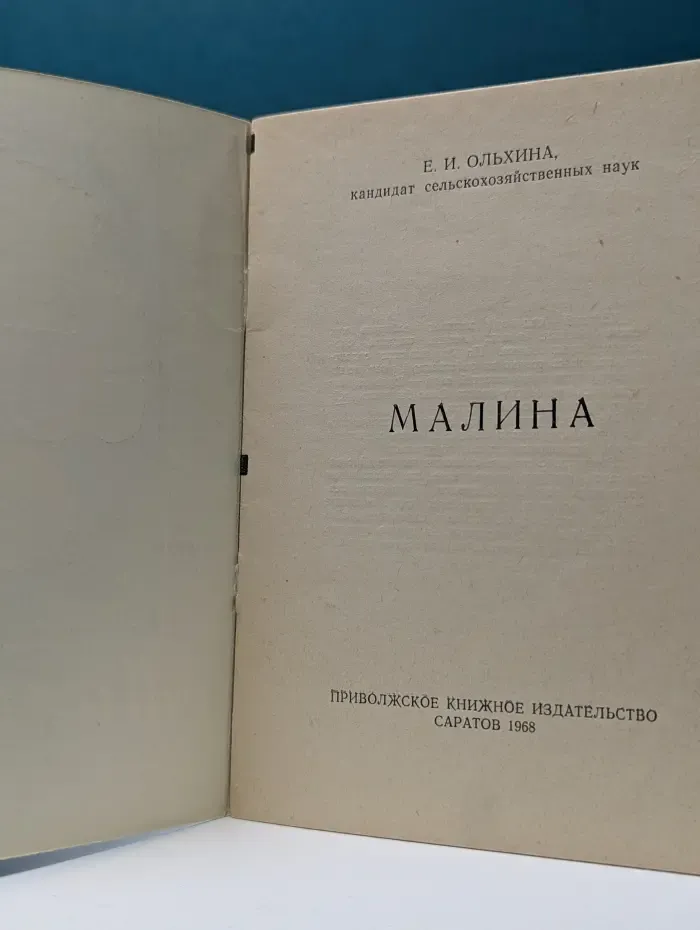 Малина