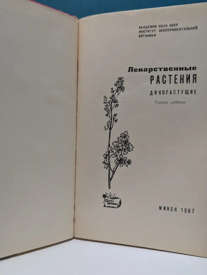 Лекарственные растения. Дикорастущие