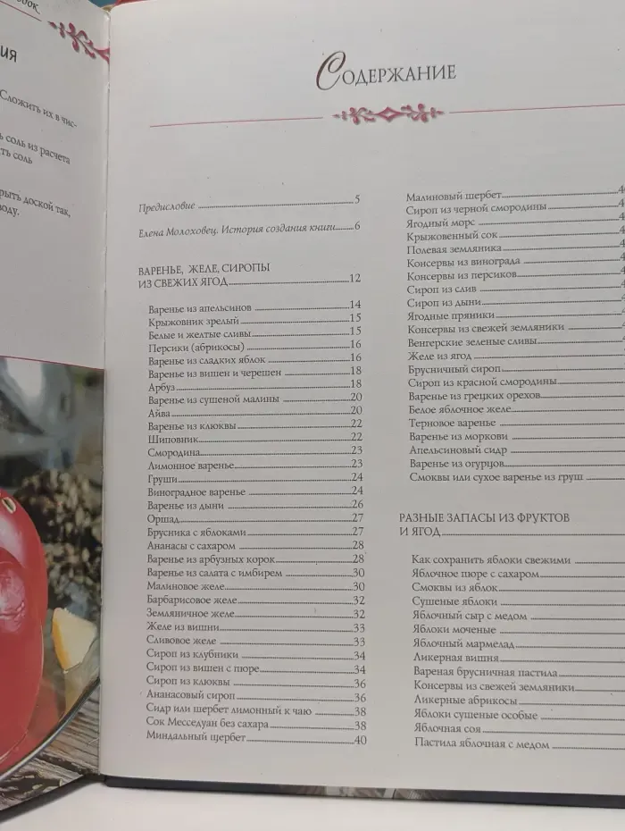 Золотая книга домашних заготовок