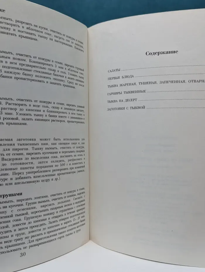 100 золотых рецептов. Тыква от салата до десерта