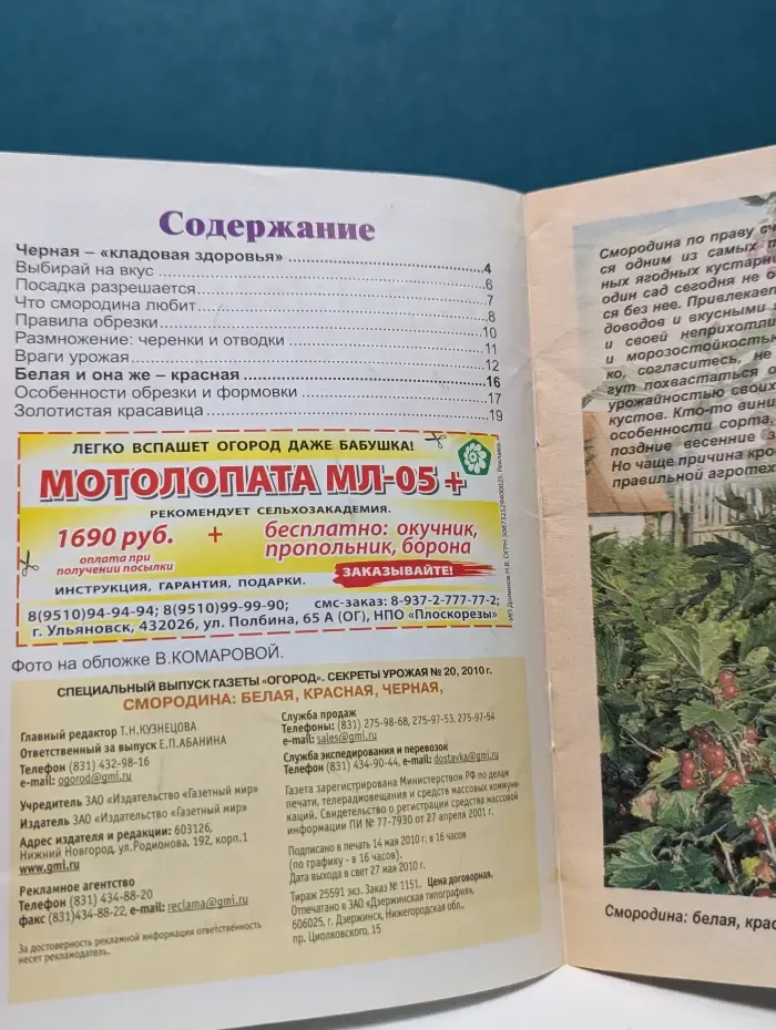 Секреты урожая. Смородина. Белая, красная, черная