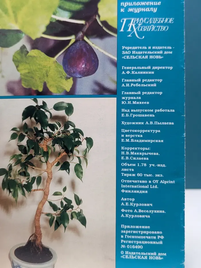 Цветы в саду и дома. Выпуск № 6/2002. Фокусы с фикусами