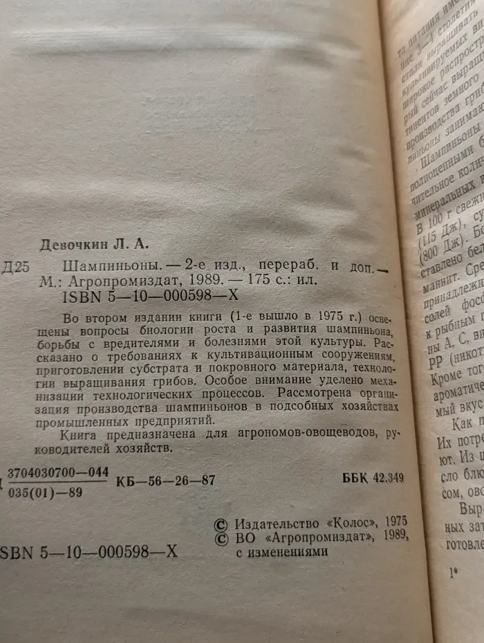 Шампиньоны