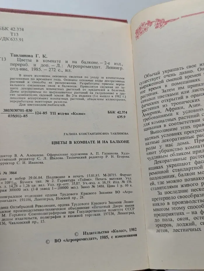 Цветы в комнате и на балконе