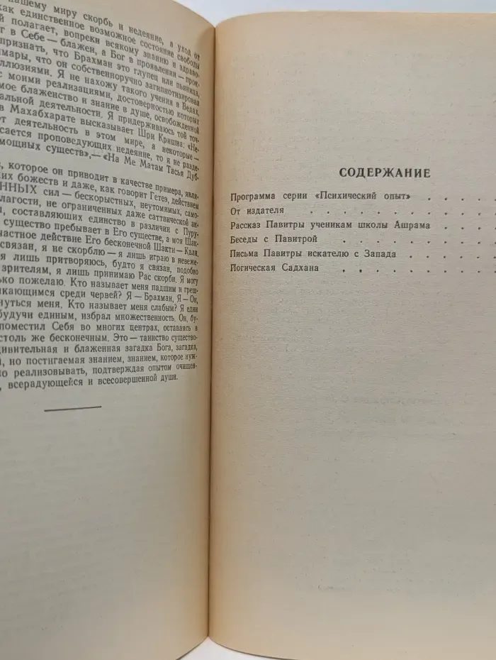 Библиотека интегральной йоги. Беседы с Павитрой