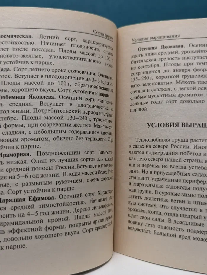Посади сам. Груша