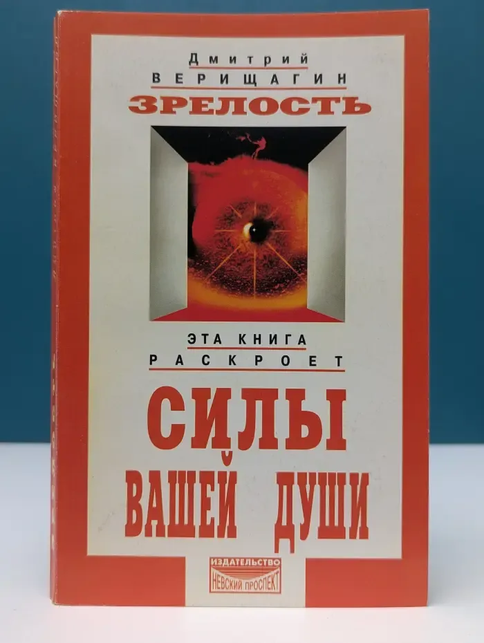 Система ДЭИР. Зрелость. Система дальнейшего энергоинформационного развития, IV ступень