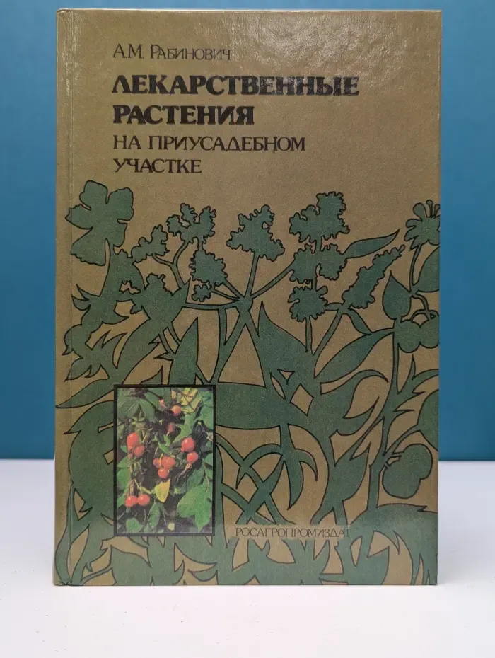 Лекарственные растения на приусадебном участке