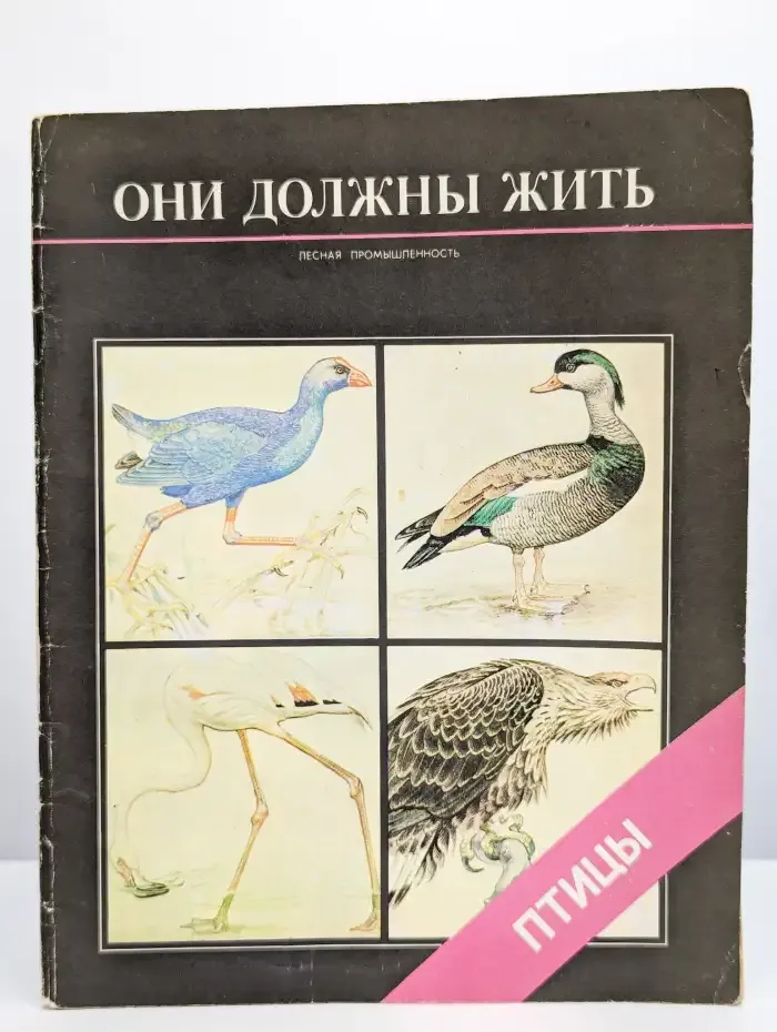 Они должны жить. Птицы