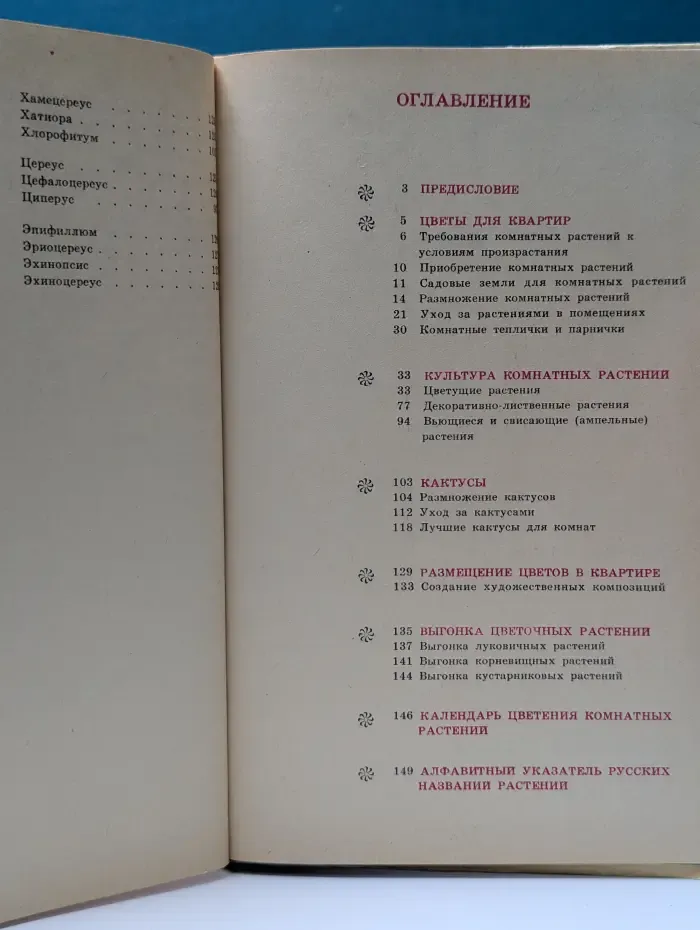 Комнатное цветоводство