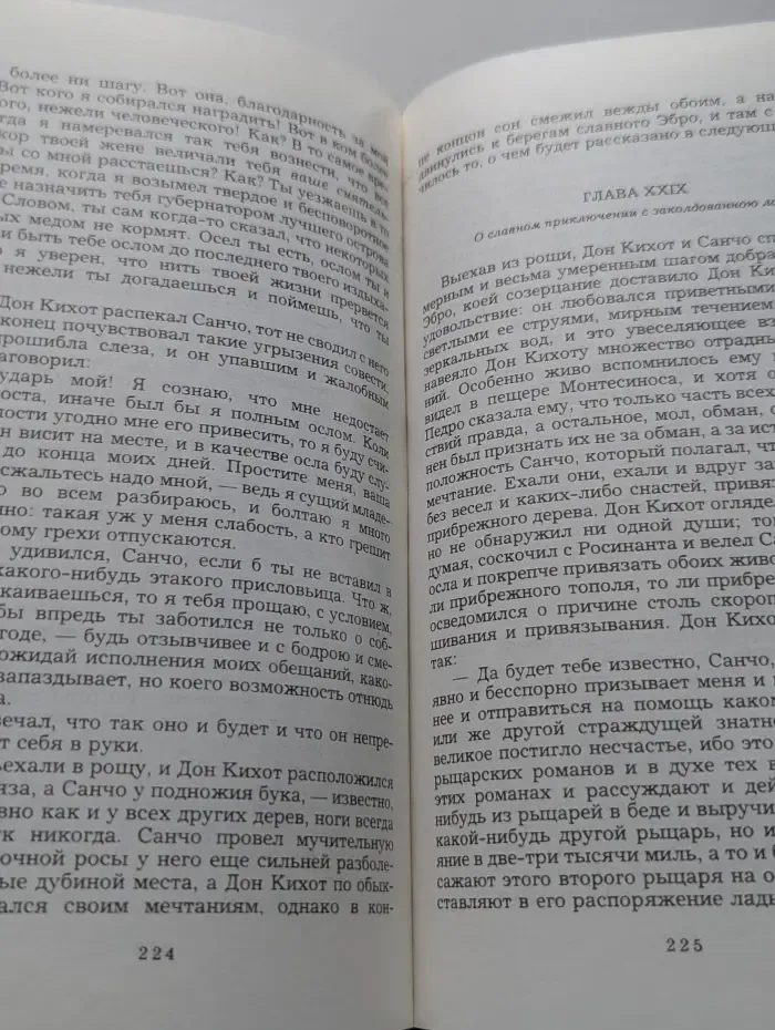 Бессмертная библиотека. Зарубежные классики. Дон Кихот