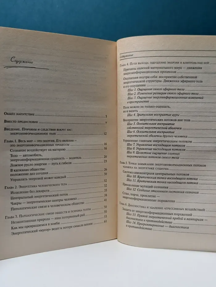 Освобождение. Система дальнейшего энергоинформационного развития. I ступень