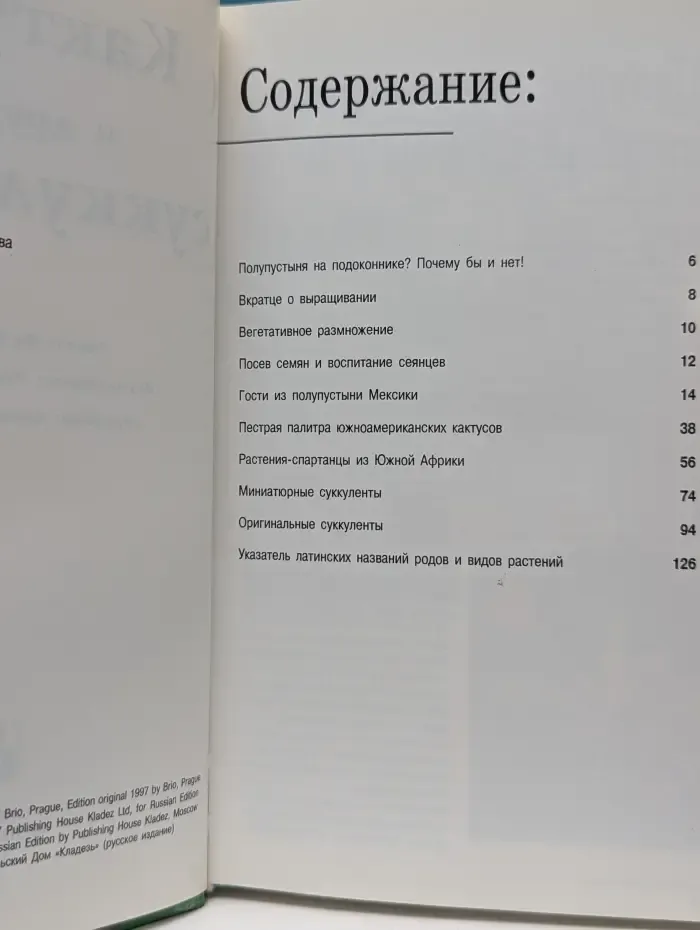 Кактусы и другие суккуленты