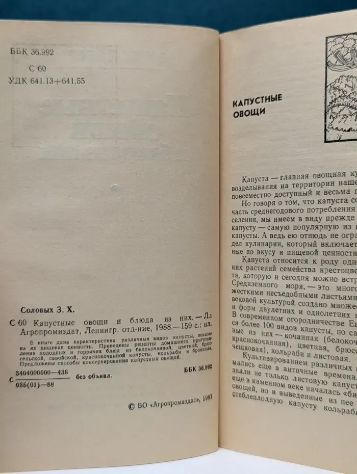 Капустные овощи и блюда из них