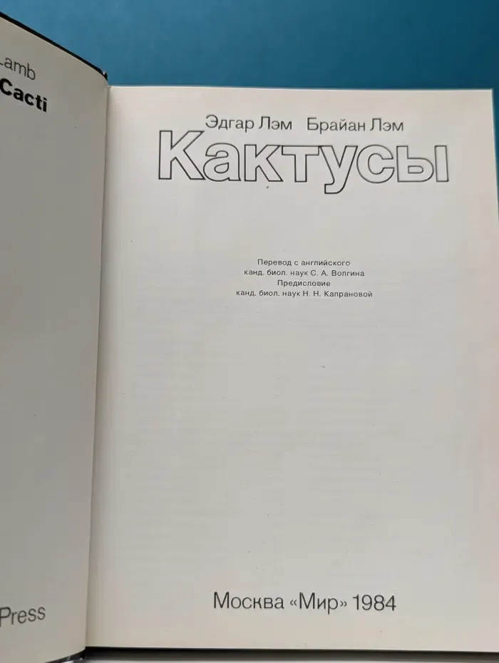 Кактусы