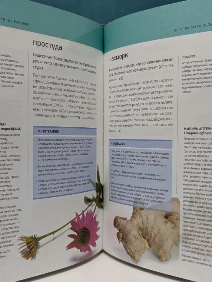 Кладовая здоровья. Лекарственные растения. Первая помощь природы