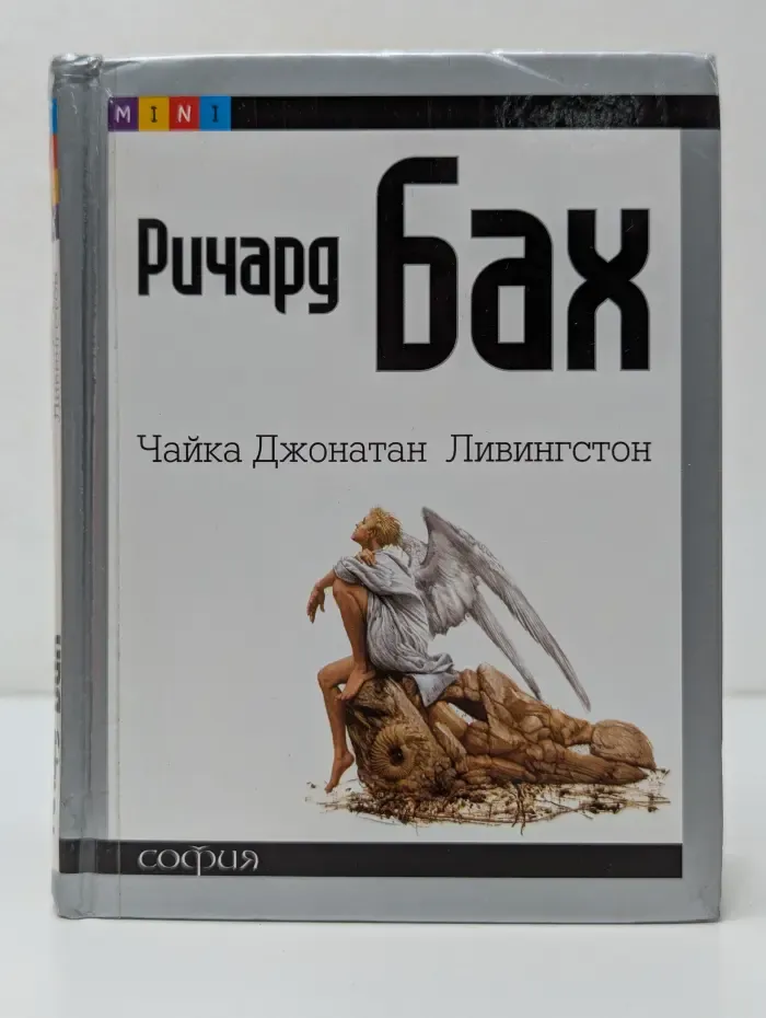 Чайка Джонатан Ливингстон