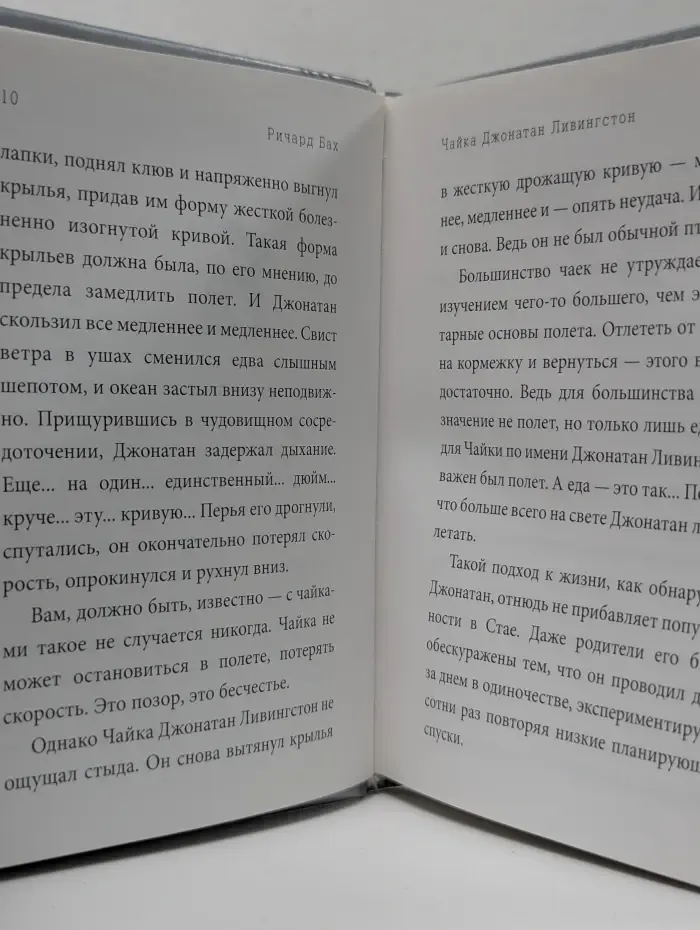 Чайка Джонатан Ливингстон