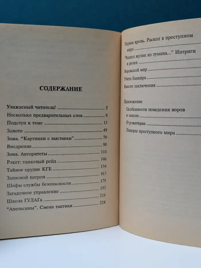 Зона риска. Воры в законе