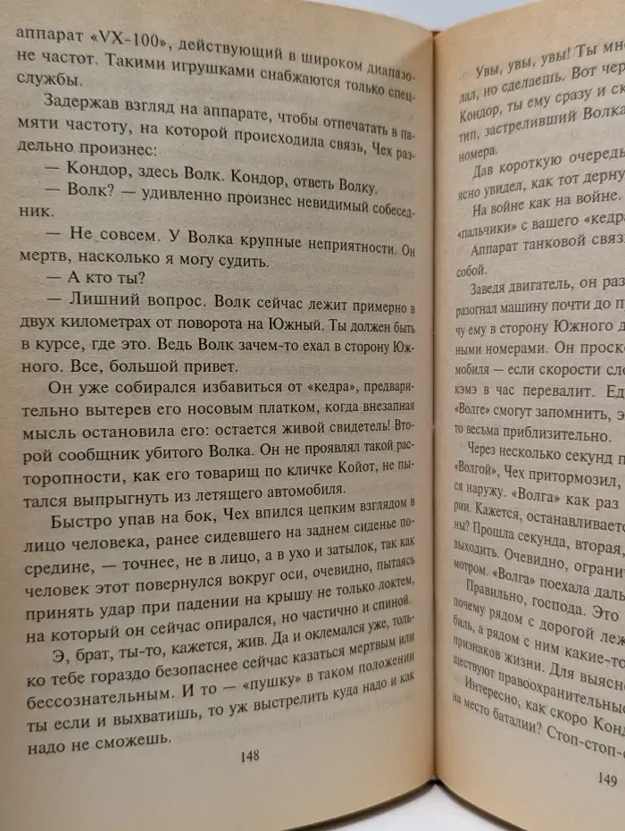 Черная кошка. Жало стрекозы