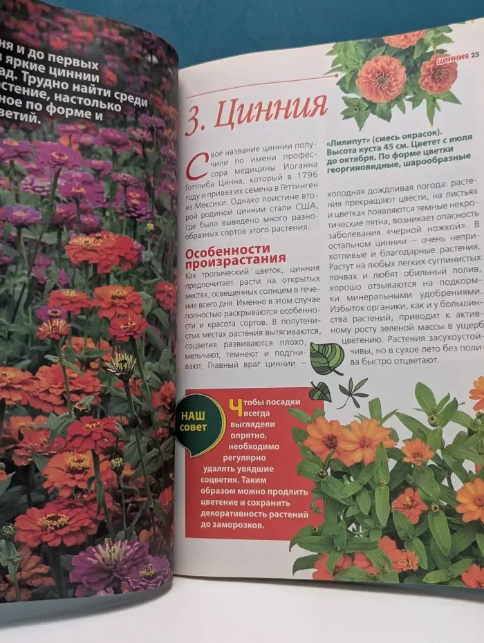Ваша настольная энциклопедия. Любимая дача. Цветочная азбука. Выпуск № 3/2016