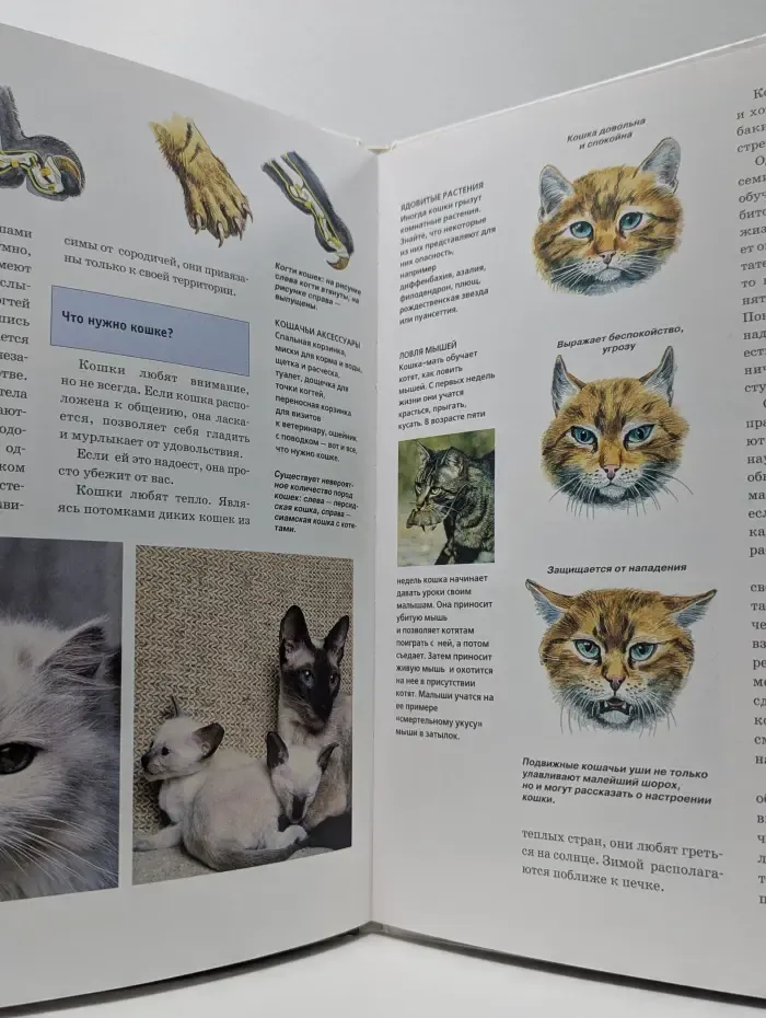 Зачем и почему. Домашние животные