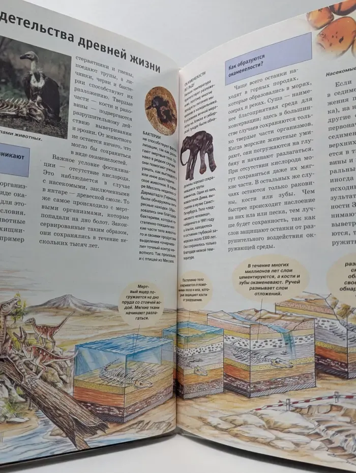 Зачем и почему. Древние ископаемые