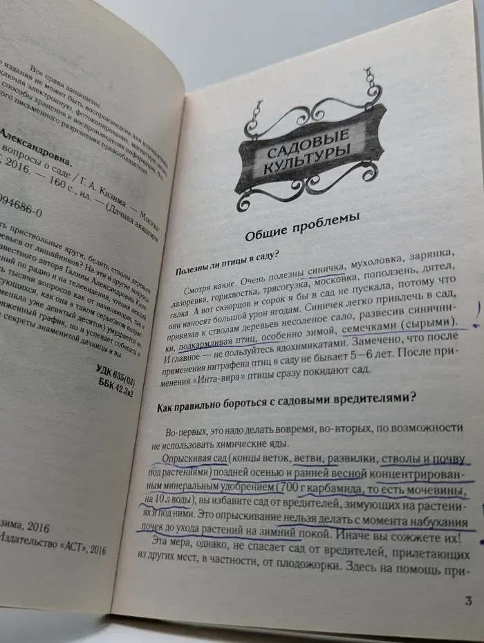 Все ответы на вопросы о саде