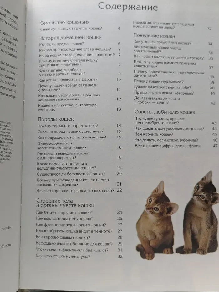 Зачем и почему. Кошки