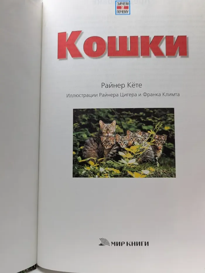Зачем и почему. Кошки