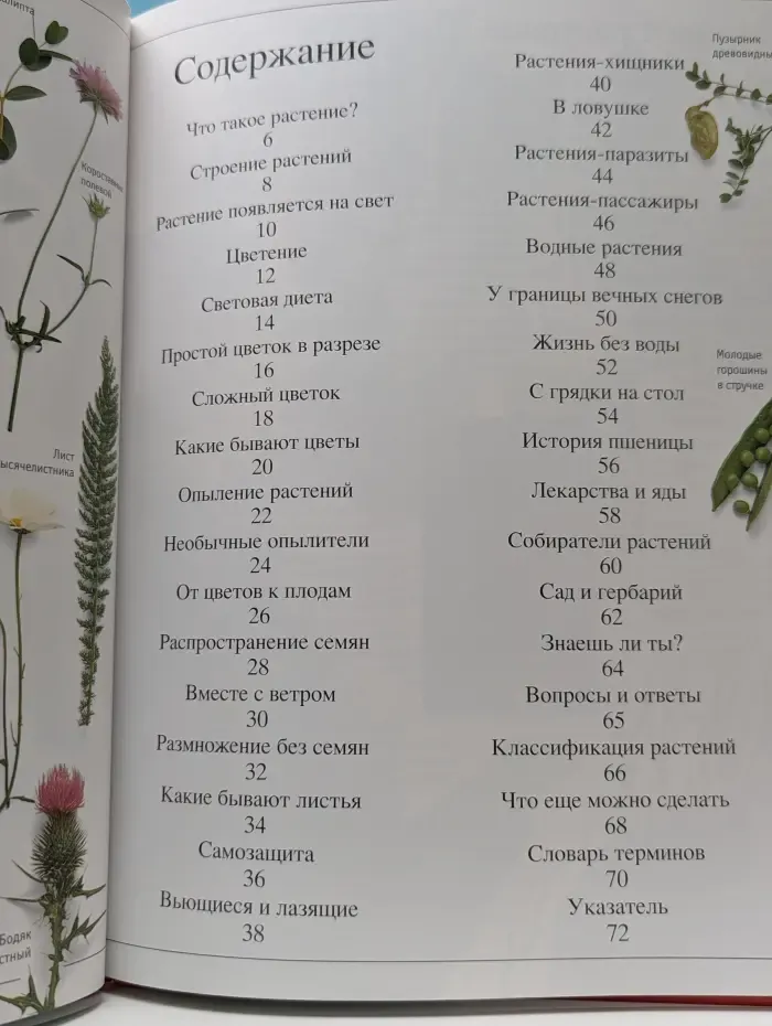 Хочу все знать. Растения