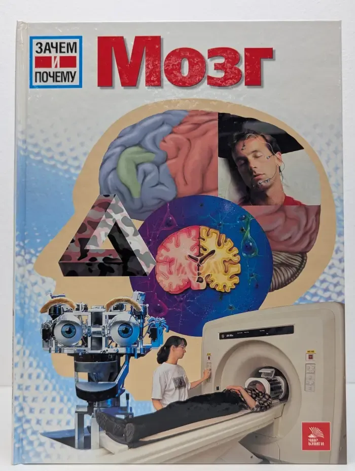 Мозг