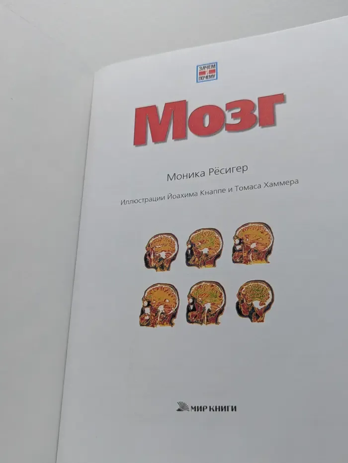 Мозг
