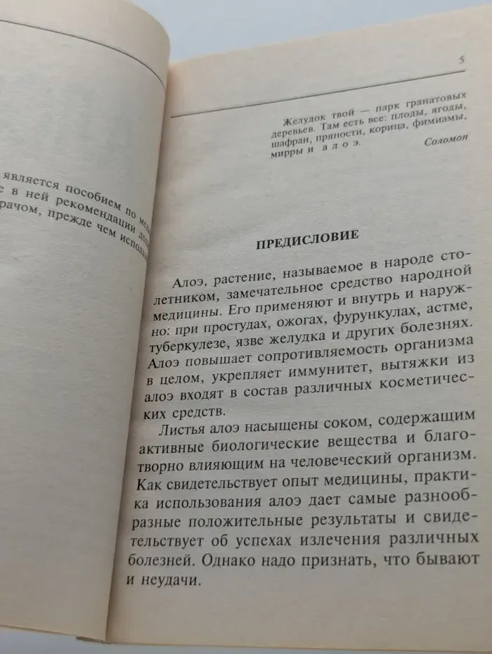 Алоэ. Ваш домашний доктор на подоконнике