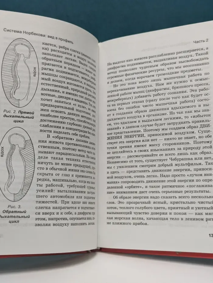 Система Норбекова. Вид в профиль, или При попытке жить наличие разума приветствуется