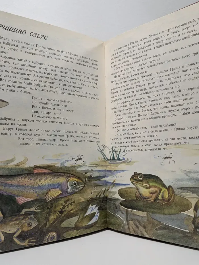 Окно в мир. Экологический атлас
