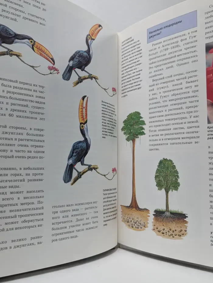 Зачем и почему. Тропики