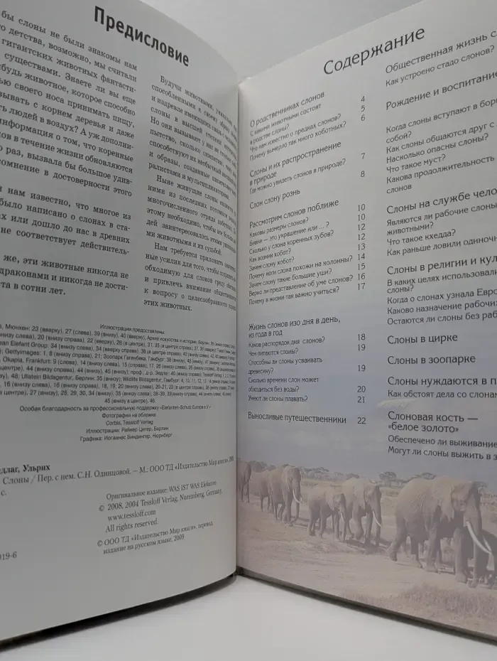 Зачем и почему. Слоны