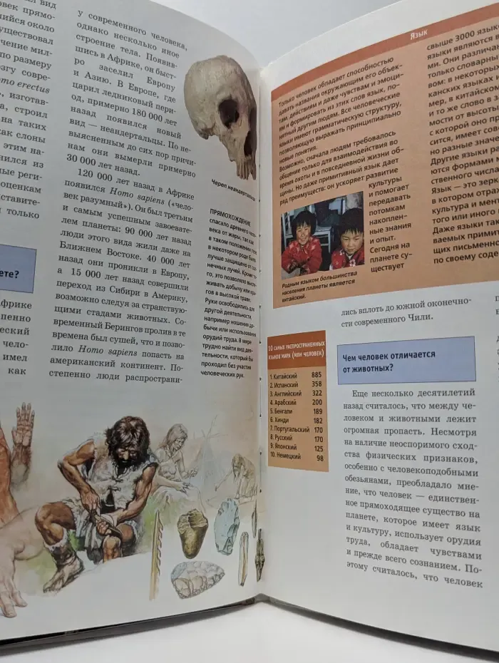 Зачем и почему. Человек
