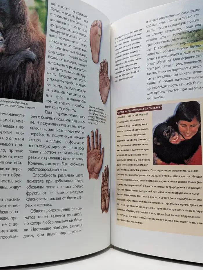 Зачем и почему. Первобытный человек