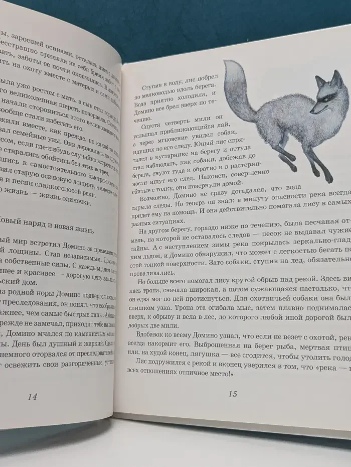 Домино. История черно-бурого лиса
