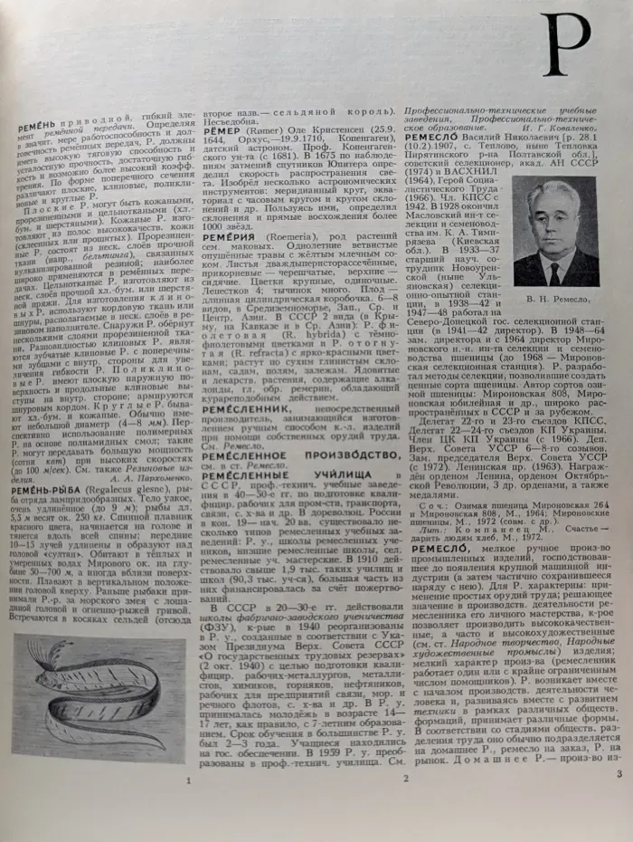 Большая Советская Энциклопедия в 30 томах. Том 22