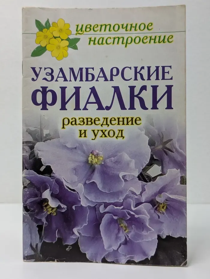 Цветочное настроение. Узамбарские фиалки. Разведение и уход