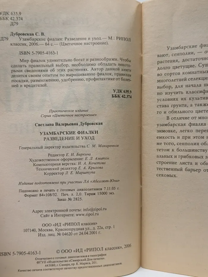 Цветочное настроение. Узамбарские фиалки. Разведение и уход